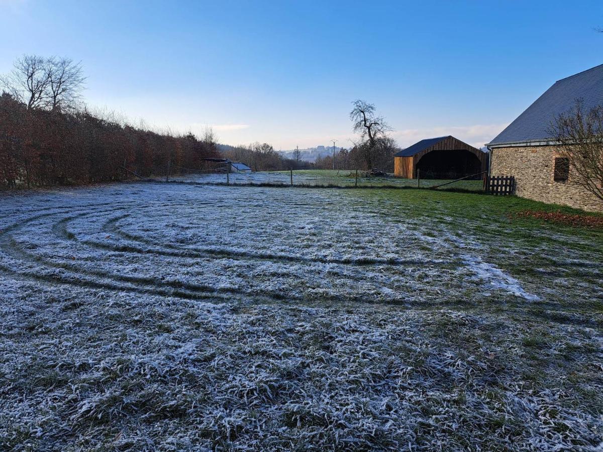 Gite L'Olivier A Filly - Nadrin, Entre Houffalize Et La Roche-En-Ardenne エクステリア 写真