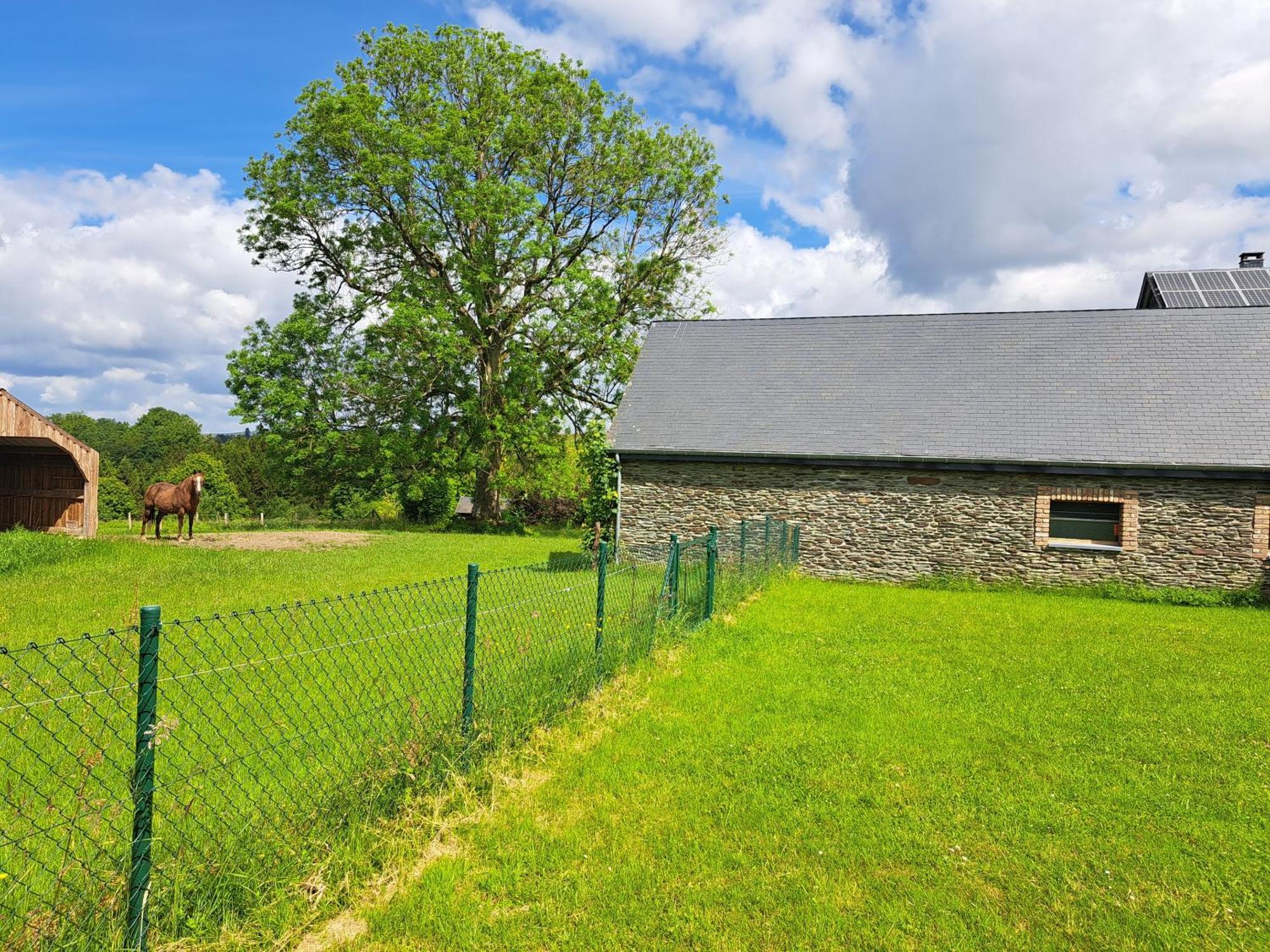 Gite L'Olivier A Filly - Nadrin, Entre Houffalize Et La Roche-En-Ardenne エクステリア 写真